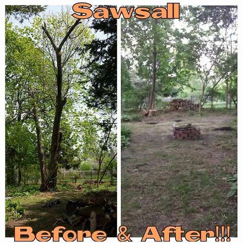 Sawsall Tree Removal